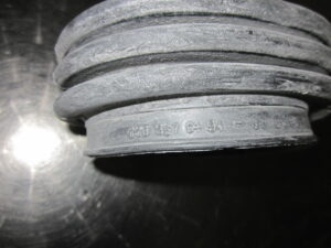 IMG 7062.jpg