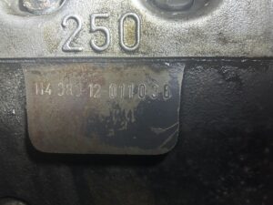 IMG 6695.jpeg