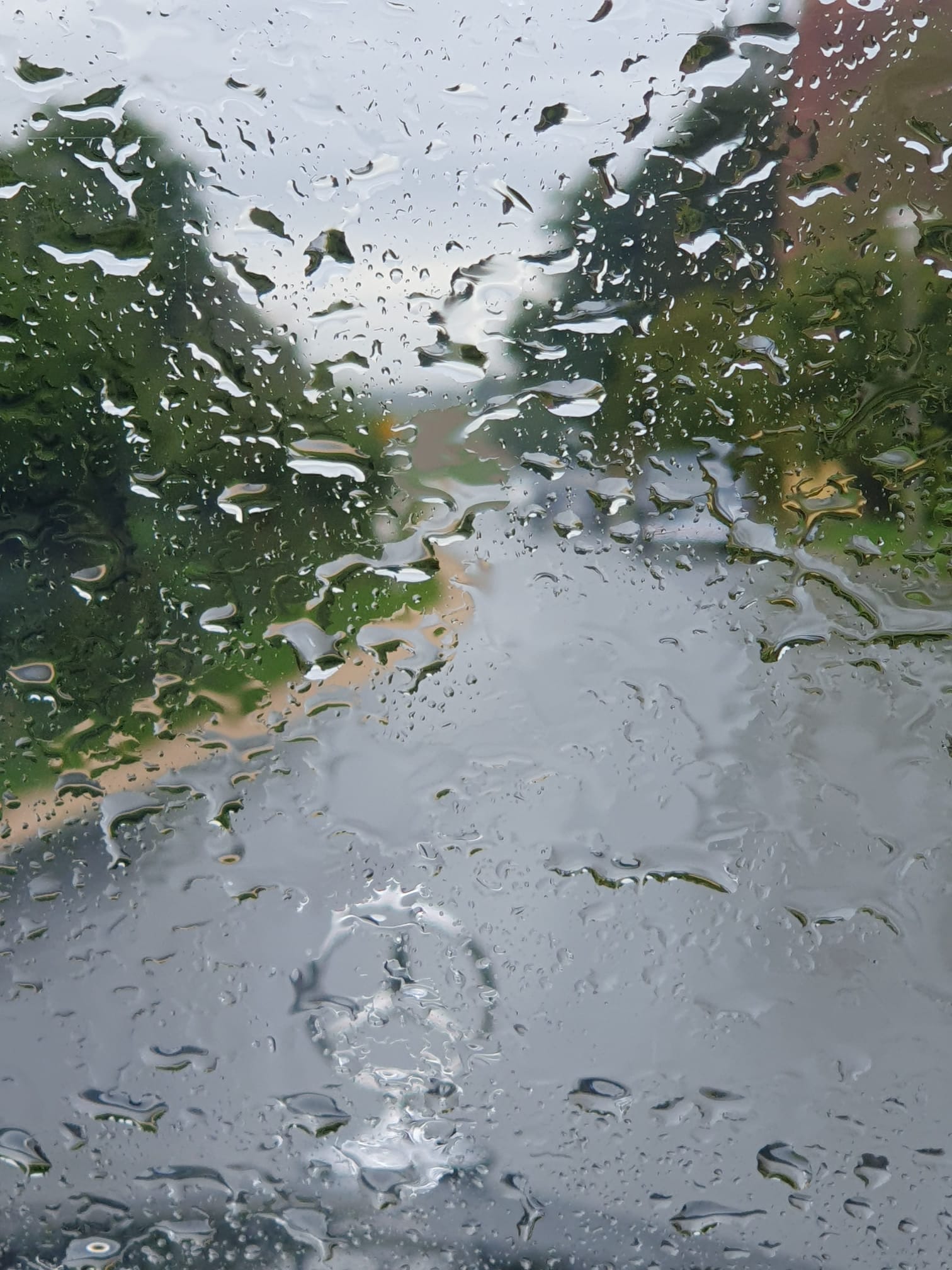 Regenschauer der Stern ist kaum zu sehen